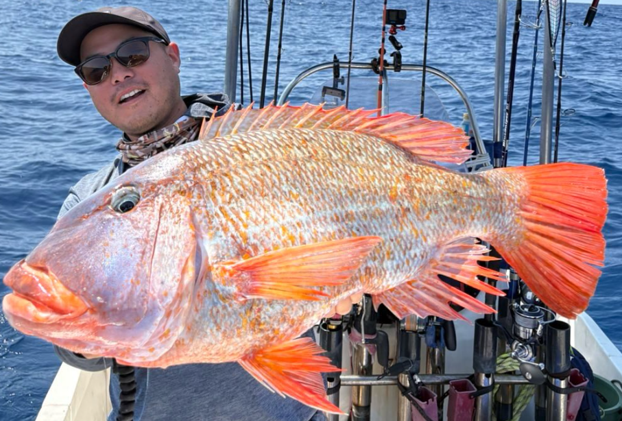 スクリーンショット 2025-06-27 111705