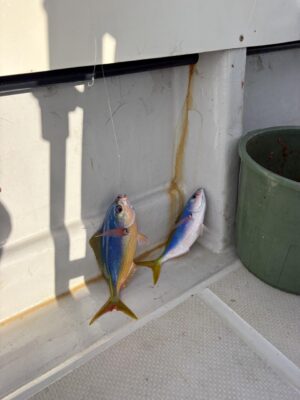 IMG_5131.jpeg